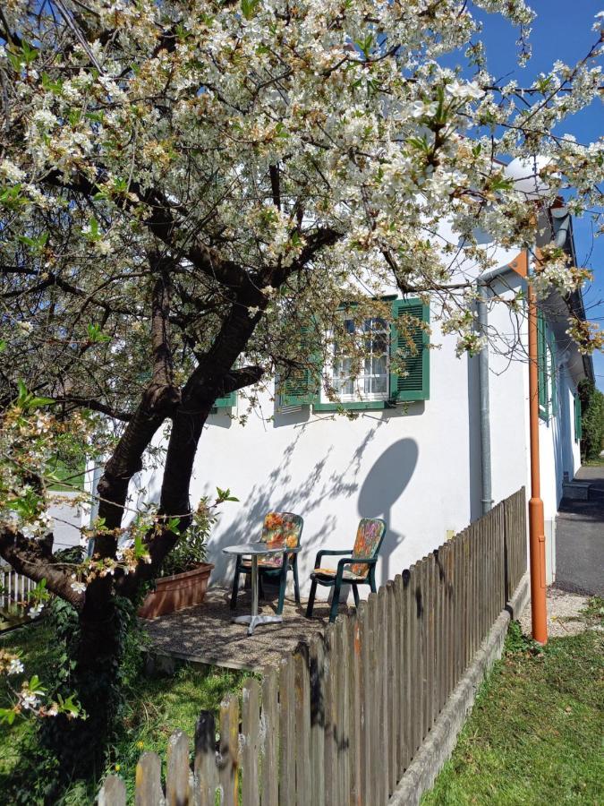 Ferienhaus Im Thermenland Ilz Exterior foto