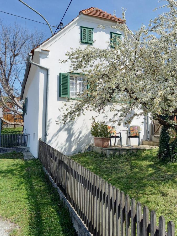 Ferienhaus Im Thermenland Ilz Exterior foto